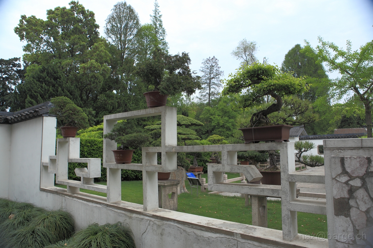 EOS 5D Mark II16_04_20135046.JPG